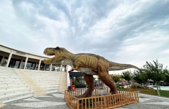 Surviving Dinosaurs @ Mediterranean Cosmos